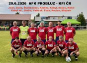 Probluz-2026_2